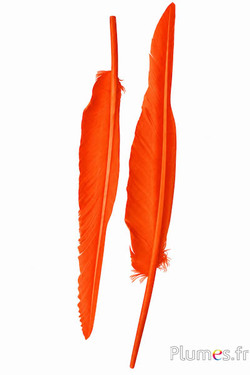 Zwaan - 28-33 cm - oranje rood